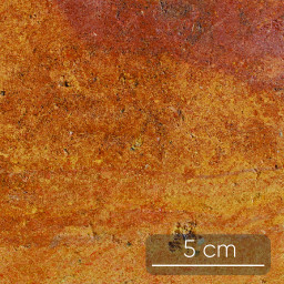 Calcaire à entroques, faciès ferrugineux ("Pierre Dorée") - Aalénien (173 Ma) - La "Pierre Dorée" présente des variations de couleurs allant du jaune vif au bordeaux sombre. Ces différences de coloration s'expliquent par des teneurs en oxydes de fer 