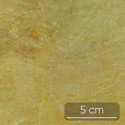 Calcaire argilo-siliceux - Bajocien (170 Ma)