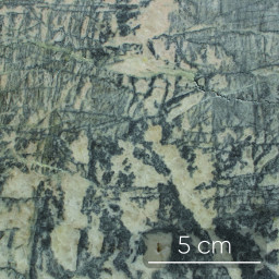 Calcaire siliceux (marbre) - Silurien/Dévonien