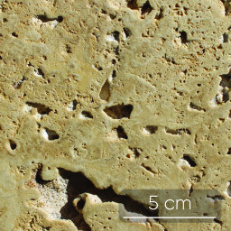 Tuf calcaire - Quaternaire (2 Ma)