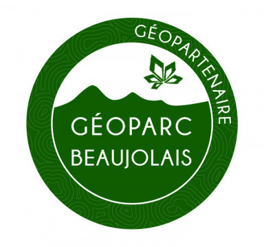 Logo geopartenaires vert