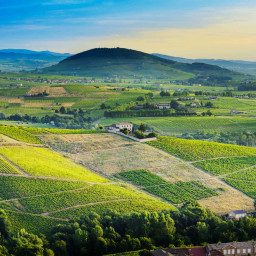 Le Mont Brouilly